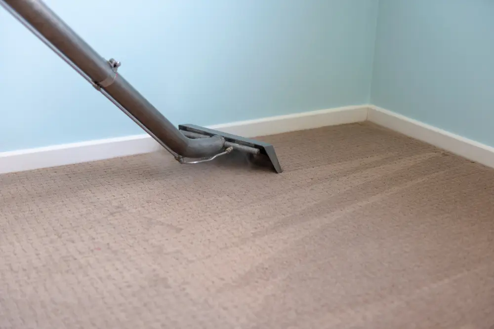 Residential Carpet Cleaning
